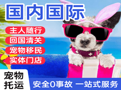 布尔津喀纳斯航空物流国际宠物托运 【国